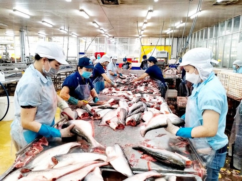 20221111143045588vietnam-pangasius-exports-by-the-end-of-october-20-2043-1