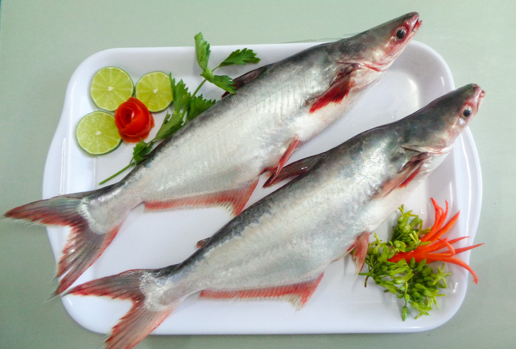 20221208104544962will-vietnams-pangasius-exports-to-the-middle-east-2043-1